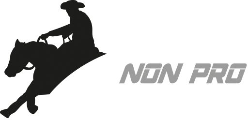 Non Pro Reiners A.S.D.